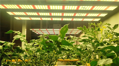 紅外線(xiàn)接收管内部結構和工(gōng)作(zuò)原理(lǐ)